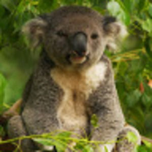 Meet your Posher, Ben